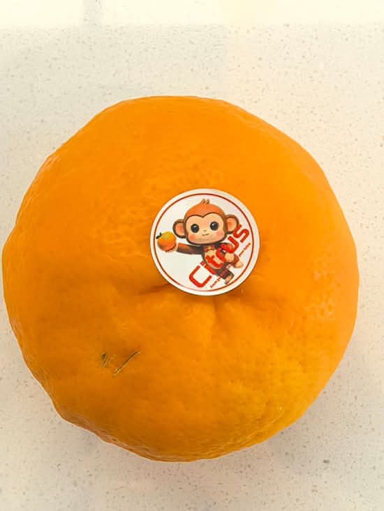 Mandarin Orange 澳洲蜜桔